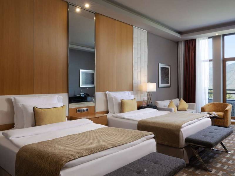 Chambre Deluxe avec lits jumeaux et vue sur la ville