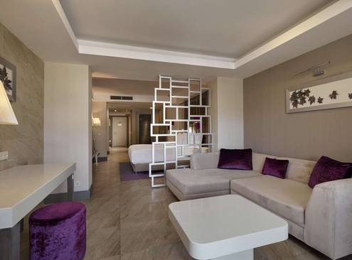 Deluxe Room, Mountain View
