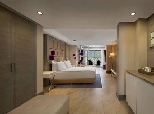 Deluxe Room, Mountain View