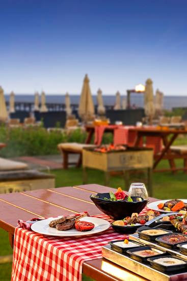 THE MANGAL BBQ RESTAURANT