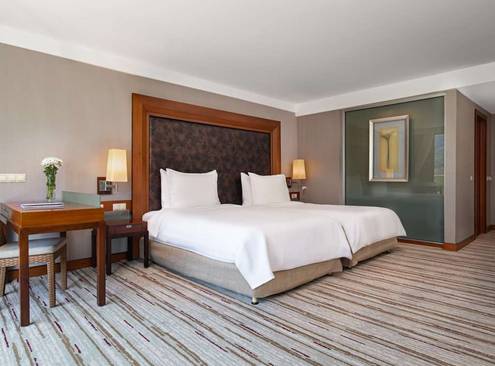 Standard Room, Mountain View