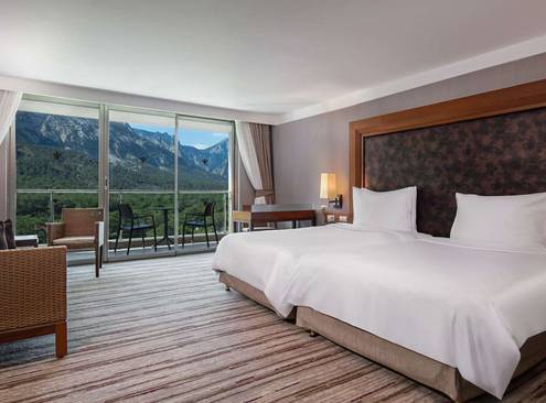 Standard Room, Mountain View