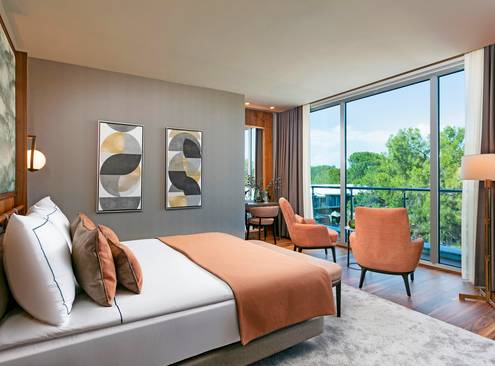 Executive Room