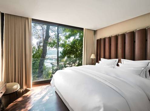 Premium Villa