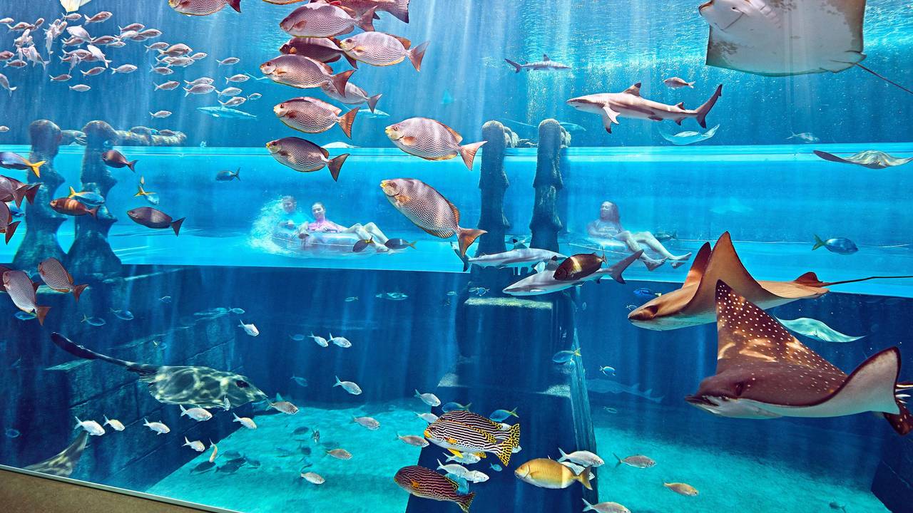 Aquarium