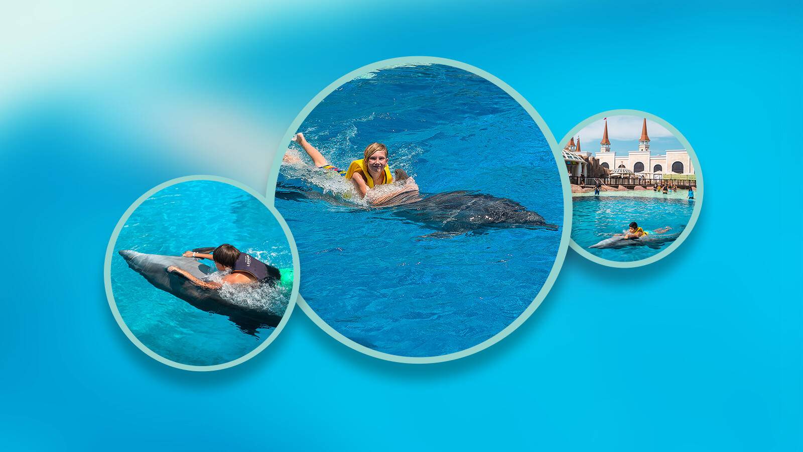 Forfait « Nager avec les dauphins »