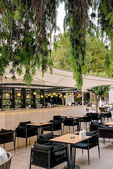 TROPIC BAR