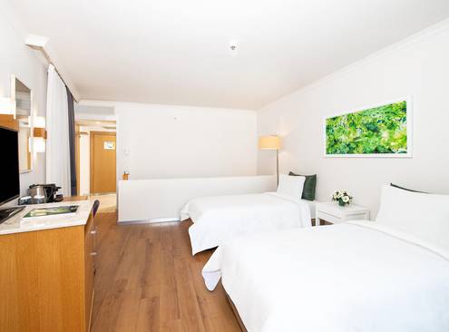 Family Dublex Room